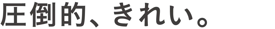 圧倒的、きれい。
